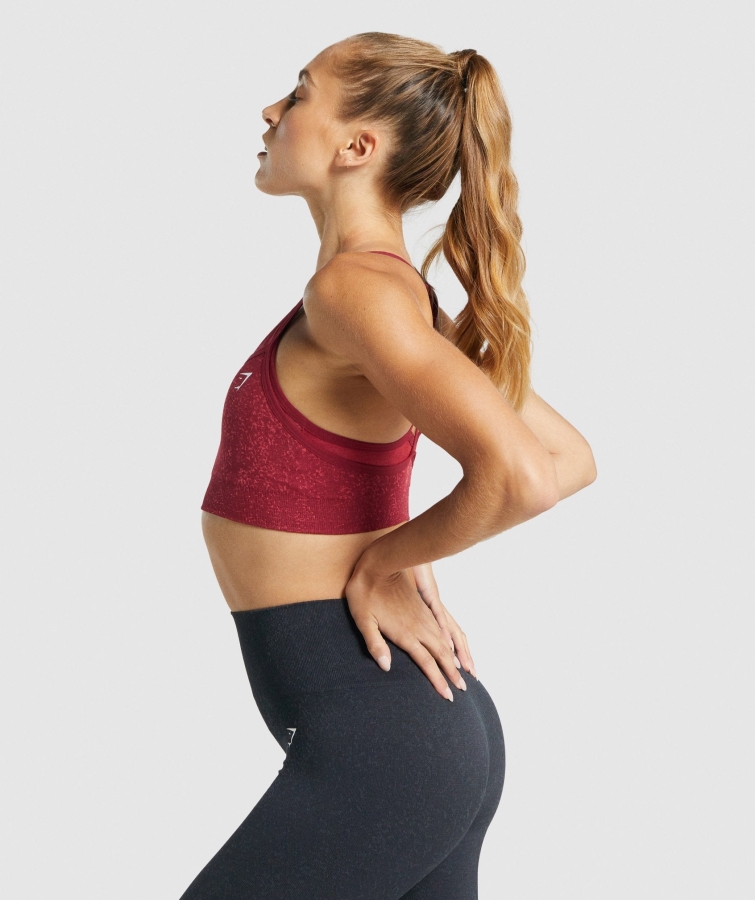 Gymshark Adapte Benekli Dikişsiz Spor Sutyeni Mineral-bordo