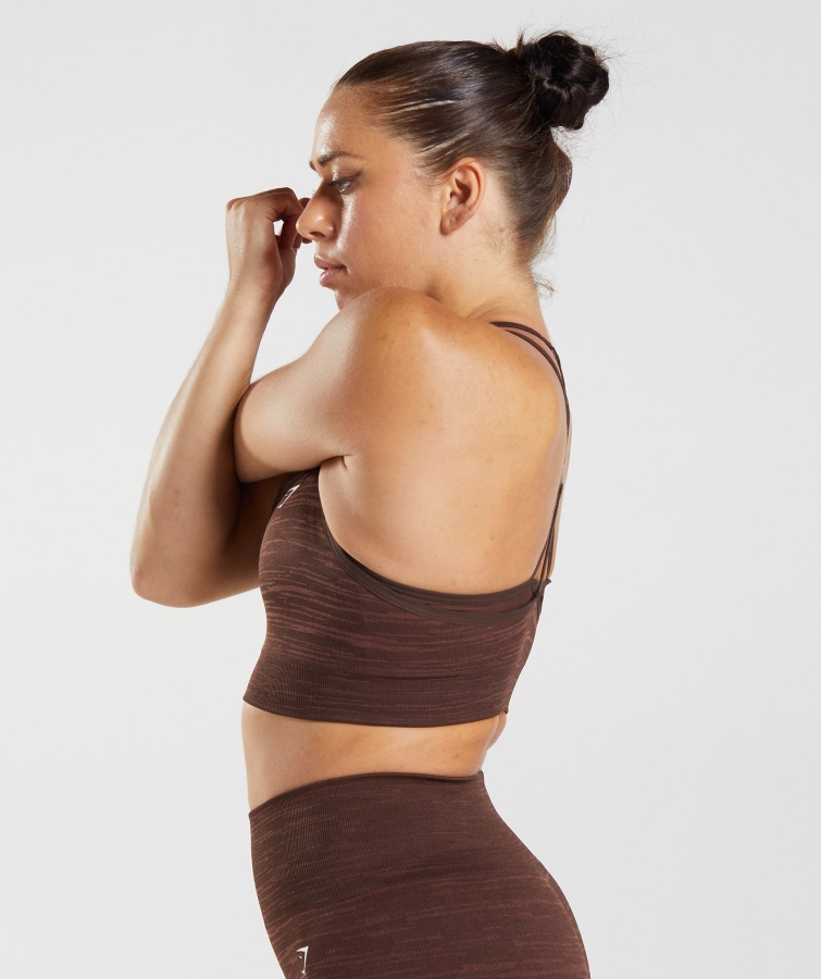 Gymshark Adapt Marl Dikişsiz Spor Sutyeni Vlt Arşivi Kahverengi-kahverengi