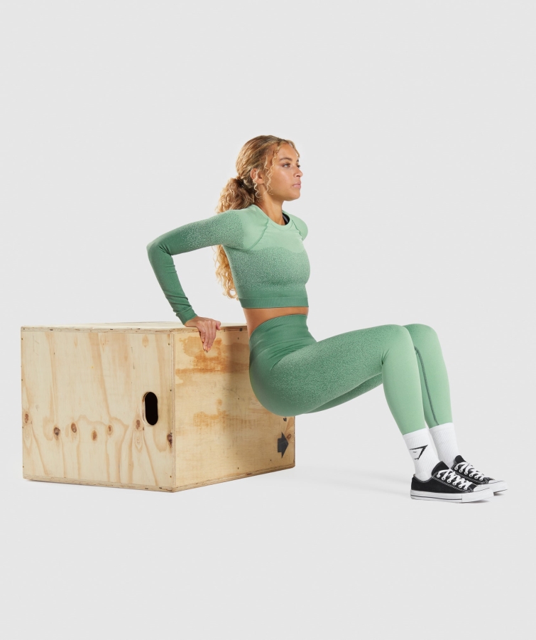 Gymshark Adapt Ombre Dikişsiz Uzun Kollu Kırpma üst Yeşil-açık Yeşil