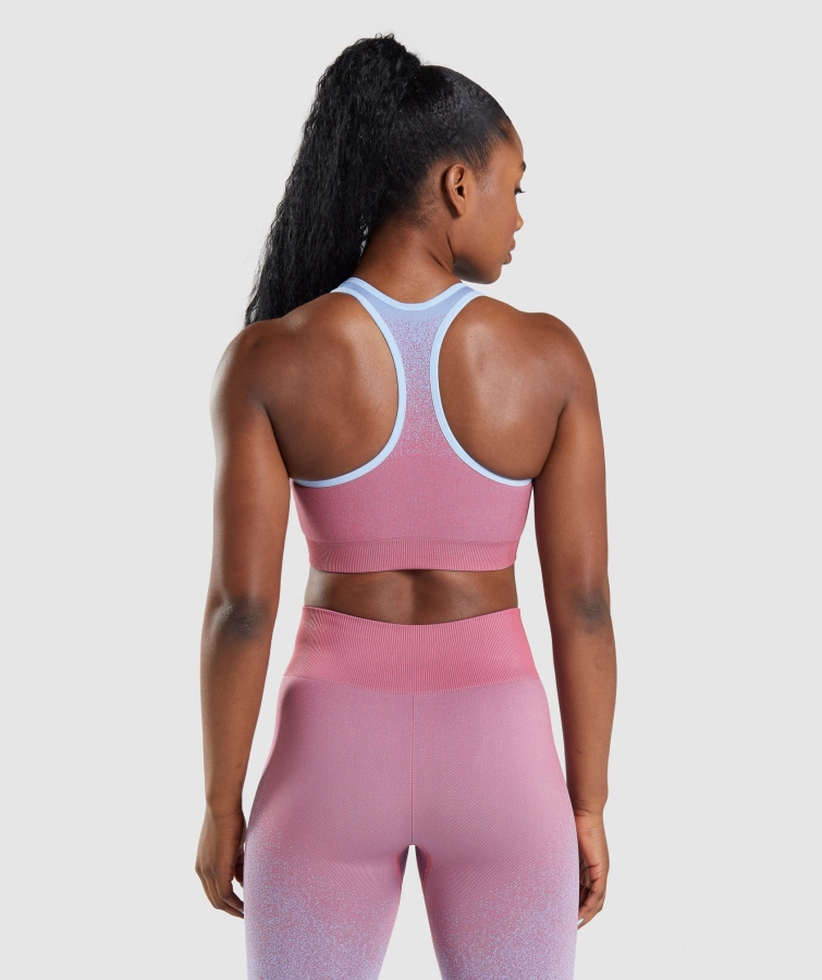 Gymshark Adapt Ombre Dikişsiz Spor Sutyeni Gül Pembe-açık Mavi