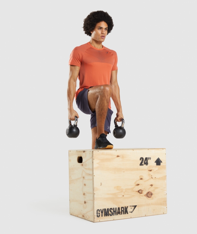 Gymshark Apeks Dikişsiz Tişört Papaya Turuncu-oniks Grisi