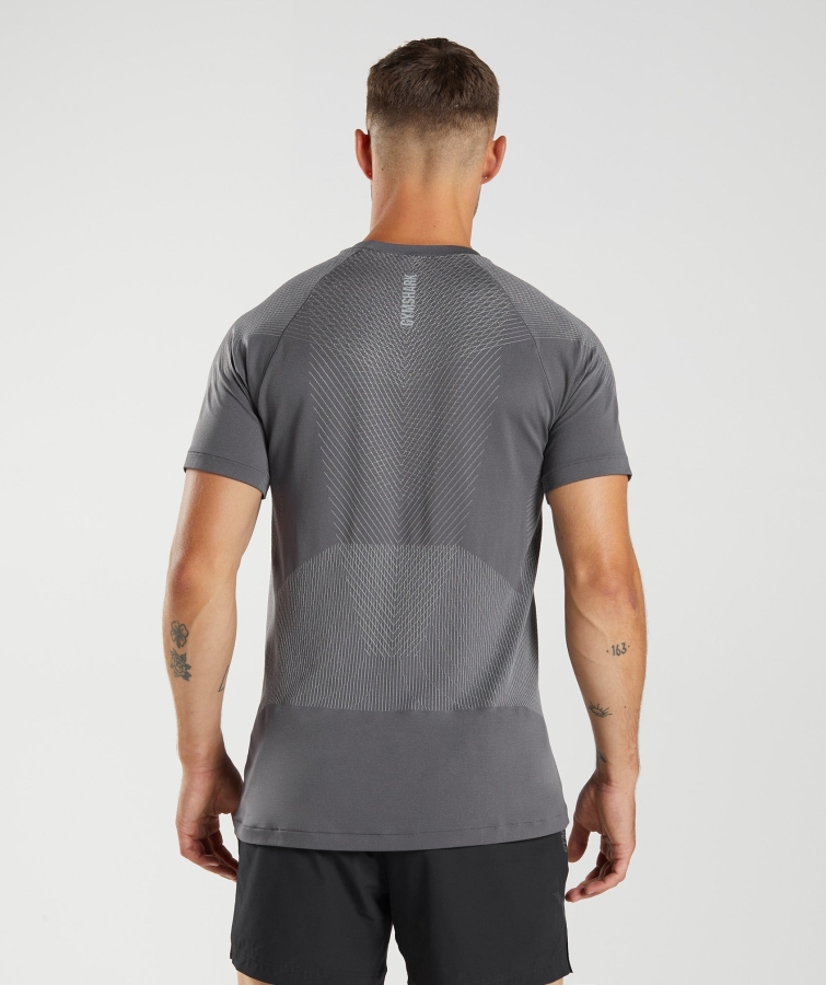 Gymshark Apeks Sorunsuz T-shirt Siluet Gri-dumanlı Gri