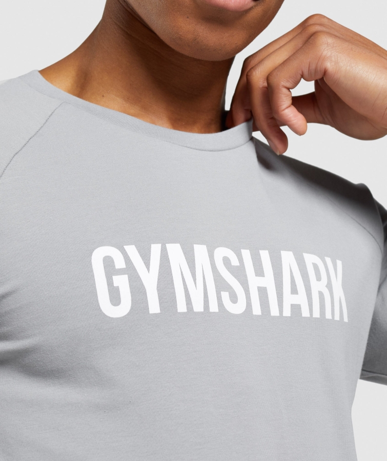 Gymshark Apollo Uzun Kollu Erkek T-shirt Dumanlı Gri
