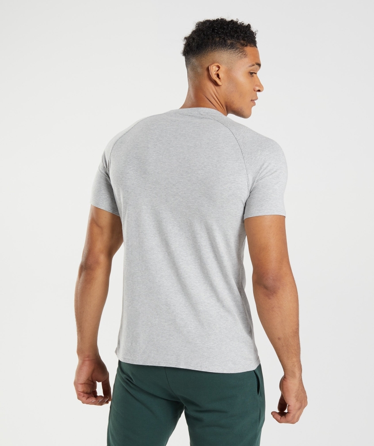 Gymshark Apollo T-shirt Erkek Açık Gri Marn