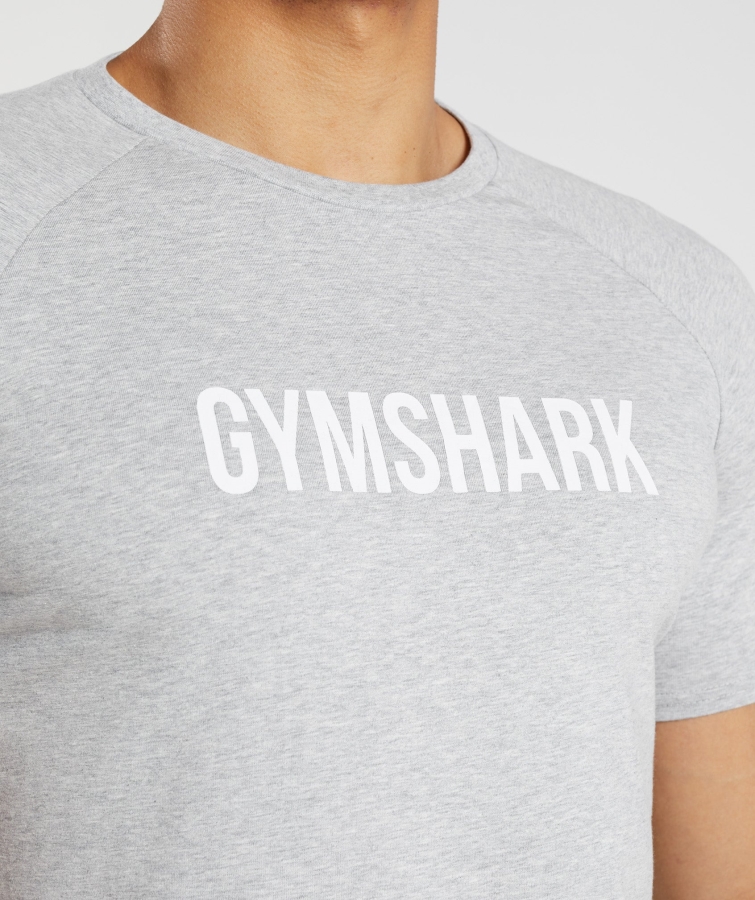 Gymshark Apollo T-shirt Erkek Açık Gri Marn