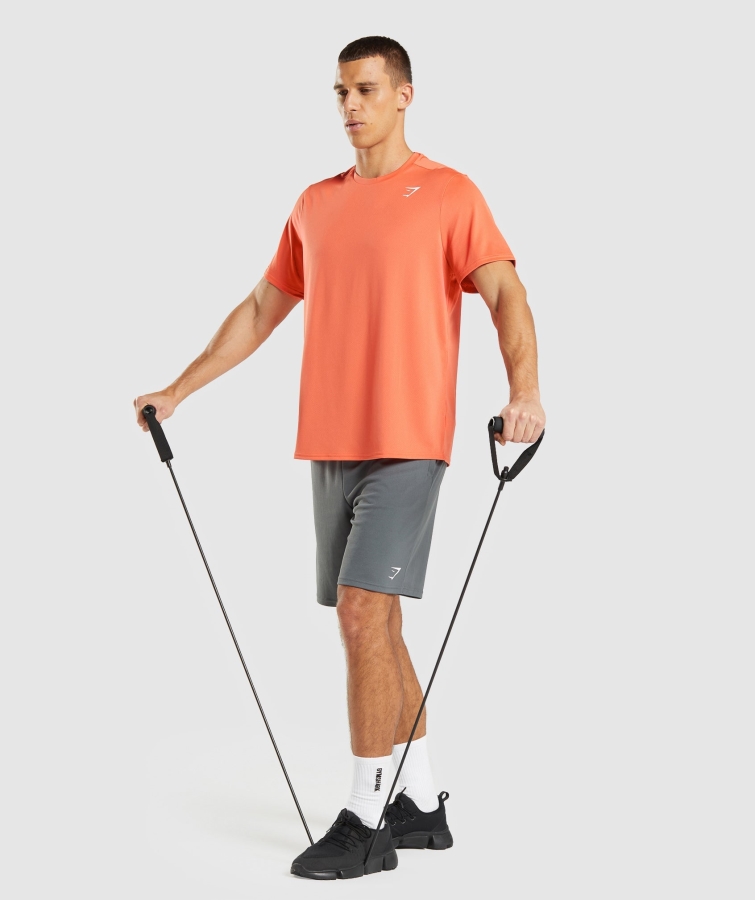 Gymshark Varış Düzenli Fit T-shirt Papaya Turuncu