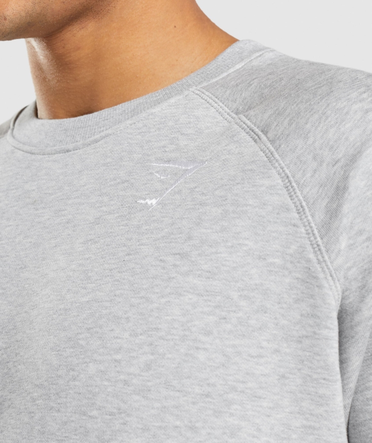 Gymshark Arması Sweatshirt Açık Gri çekirdek Marn