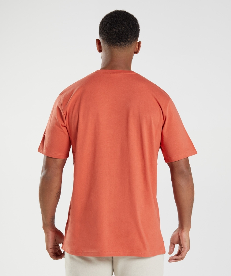 Gymshark Arması T-shirt Fırtına Kırmızısı