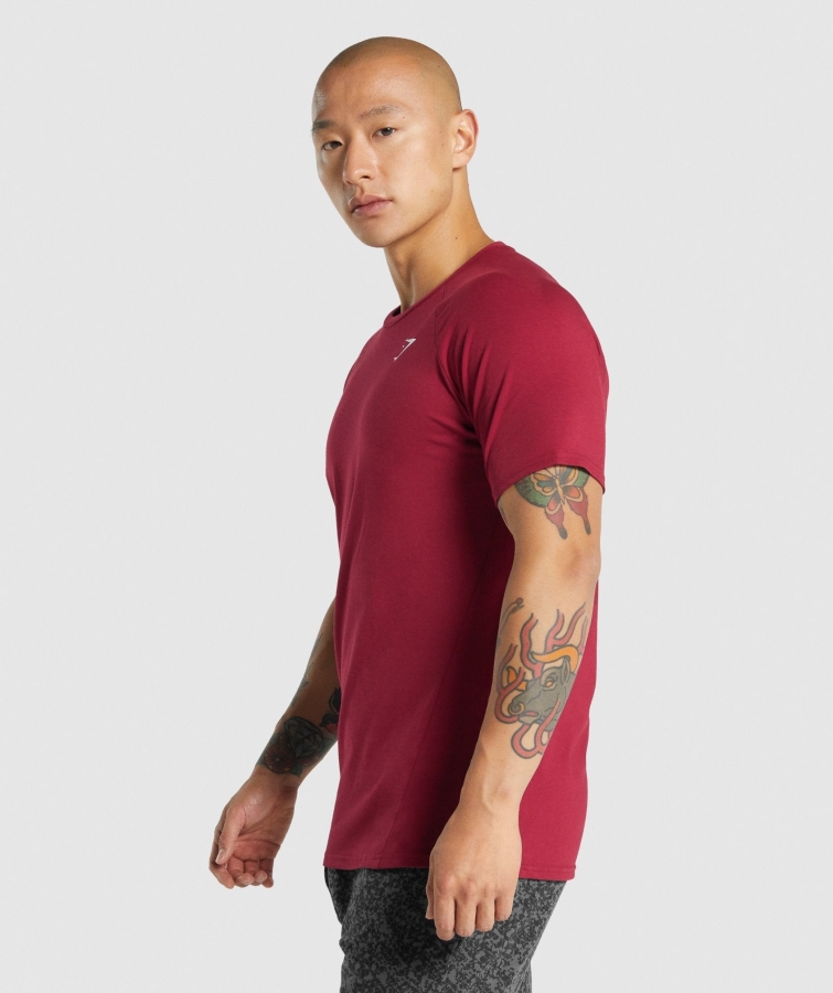 Gymshark Kritik 2.0 Tişört Bordo