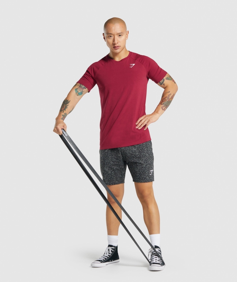 Gymshark Kritik 2.0 Tişört Bordo