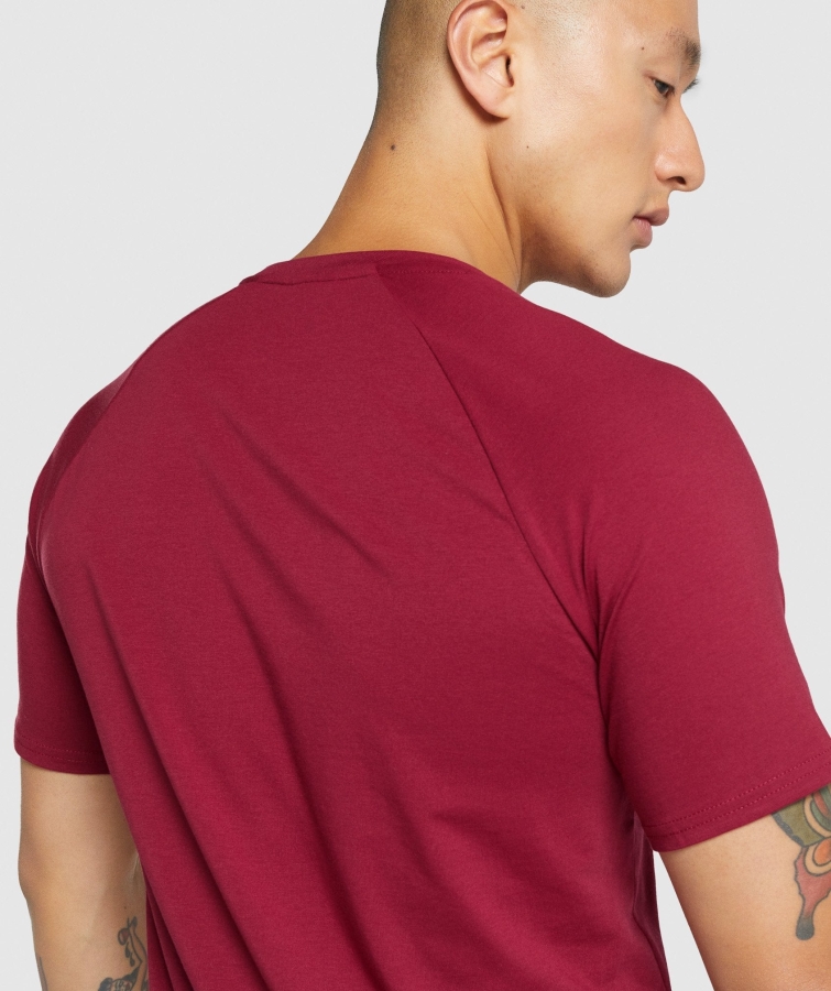 Gymshark Kritik 2.0 Tişört Bordo