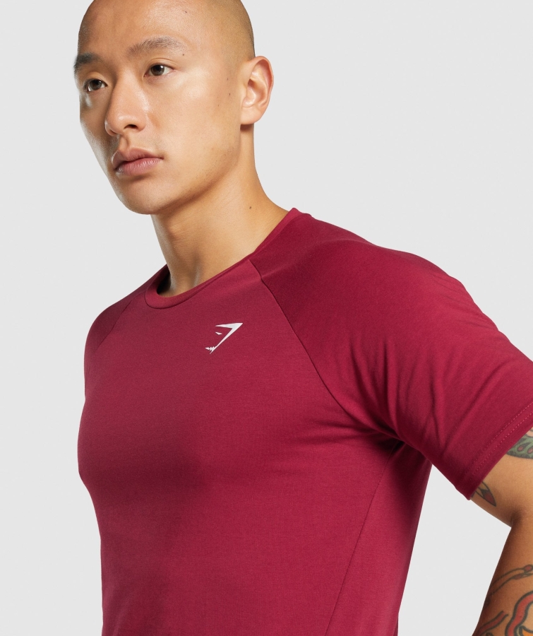 Gymshark Kritik 2.0 Tişört Bordo