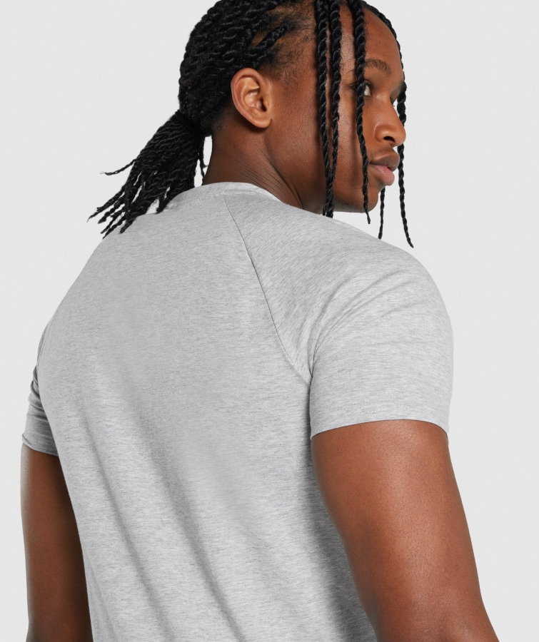 Gymshark Kritik 2.0 Tişört Açık Gri Marn