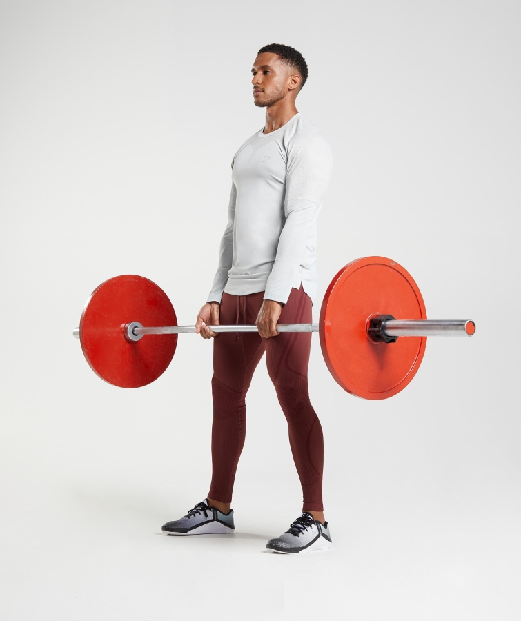 Gymshark Formu Uzun Kollu Tişört Açık Gri