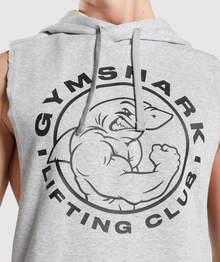 Gymshark Mirası Düşük Kollu Kapüşonlu Açık Gri çekirdek Marn