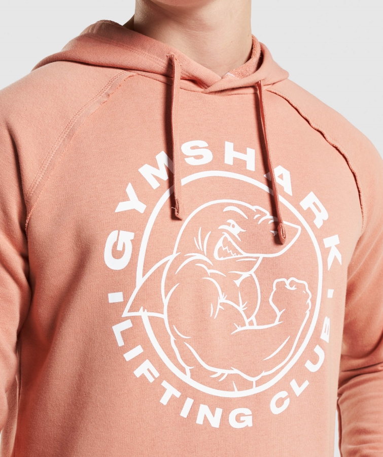 Gymshark Eski Kapşonlu Nevada Pembe