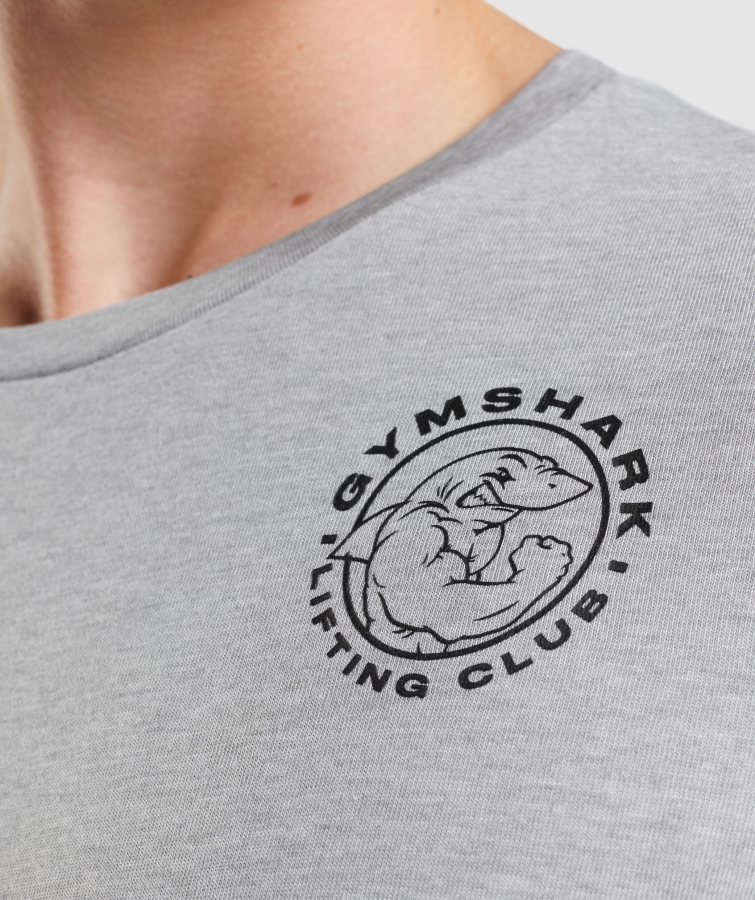 Gymshark Eski Uzun Kollu T-shirt Açık Gri çekirdek Marn