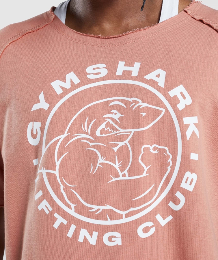 Gymshark Eski Bez Sayfanın üstü Nevada Pembe