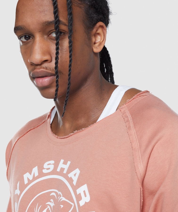 Gymshark Eski Bez Sayfanın üstü Nevada Pembe