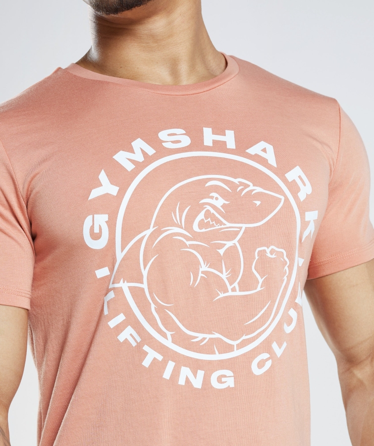 Gymshark Eski Tişört Nevada Pembe