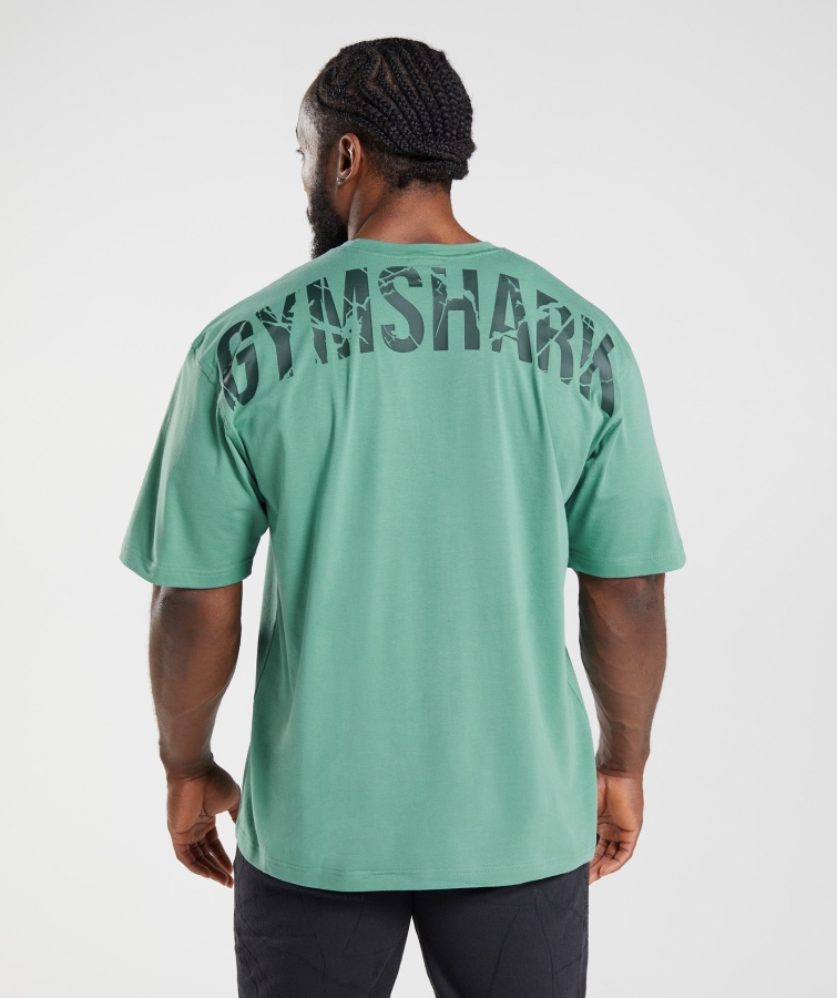 Gymshark Güç Tişörtü Alp Yeşili