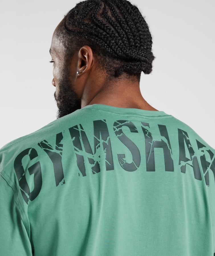 Gymshark Güç Tişörtü Alp Yeşili