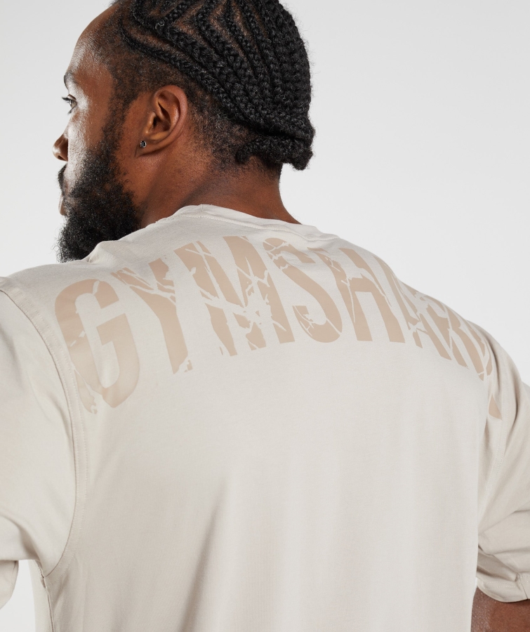 Gymshark Güç T-shirt çakıl Grisi